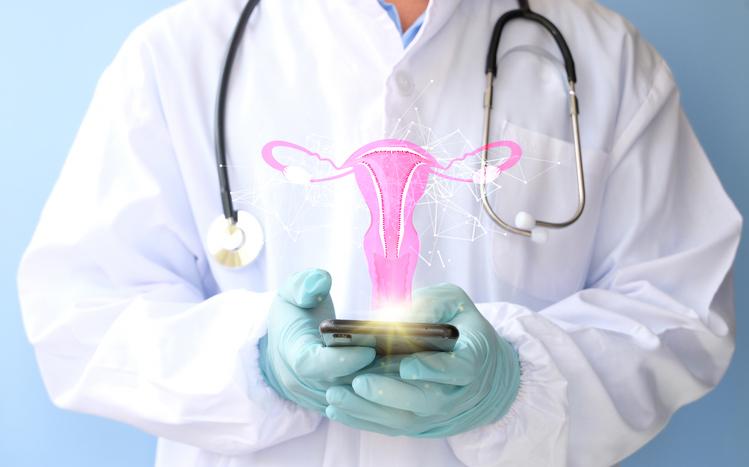 Doctor examines the hologram of a female uterus and examines the test results. Ovarian disease, ectopic pregnancy, painful periods, surgery, reproductive system medical problems